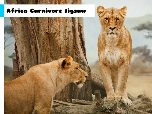 Africa Carnivore Jigsaw